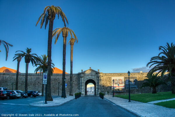 'Palm Sentry of Cascais Citadel' Picture Board by Steven Dale