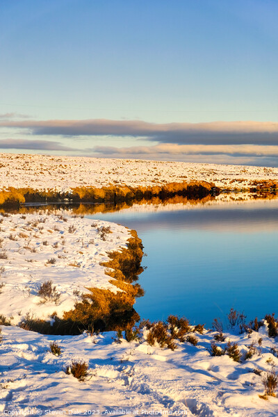 Reservoir in Winter Picture Board by Steven Dale