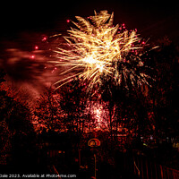 Buy canvas prints of Night's Spectacular Firework Display by Steven Dale