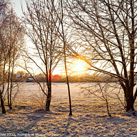 Buy canvas prints of Sunrise silhoutte of tress in winter by Steven Dale