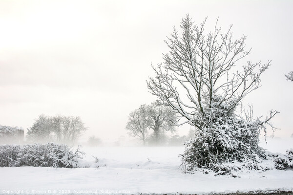 Winter Norfolk Landscape Picture Board by Steven Dale