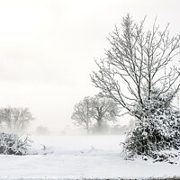 Buy canvas prints of Winter Norfolk Landscape by Steven Dale