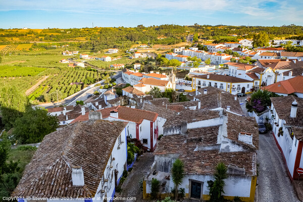 Óbidos Walled Town and Vista Picture Board by Steven Dale