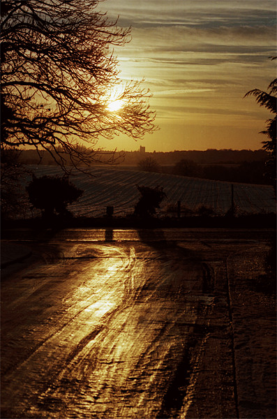 Enchanting Norfolk Winter's Dusk Picture Board by Steven Dale