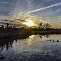 Buy canvas prints of Trio Harmony - Ducks on River Stour by Steven Dale