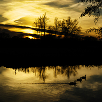 Buy canvas prints of Constable's Inspiration: Ducks at Flatford Mill by Steven Dale