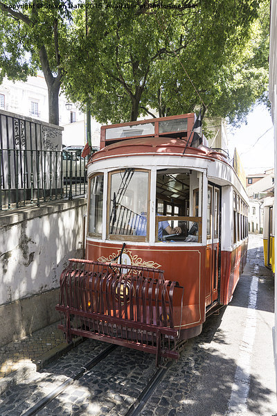  Lisbon old tram Picture Board by Steven Dale