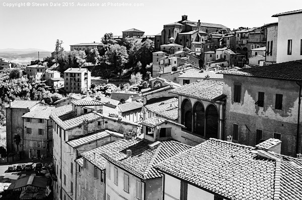 Tuscan Echoes - Siena's Monochrome Skyline Picture Board by Steven Dale
