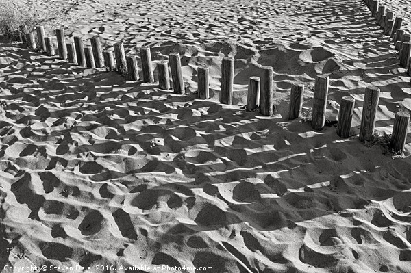 Shadows Dancing on Norfolk Sands Picture Board by Steven Dale