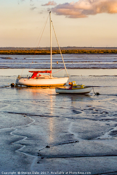 Stranded at Low Tide Picture Board by Steven Dale