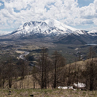 Buy canvas prints of Mount St. Helens by Janet Mann