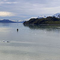 Buy canvas prints of Glacier Bay in Frozen Alaska by Janet Mann