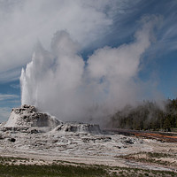 Buy canvas prints of Castle Geyser Yellowstone National Park by Janet Mann