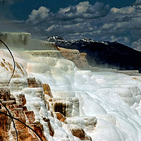 Buy canvas prints of Mammoth Hot Springs, Yellowstone National Park by Janet Mann