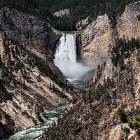 Buy canvas prints of Yellowstone Lower Falls  by Janet Mann