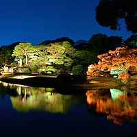 Buy canvas prints of Rikugien Japanese Garden at Night by Justin Bowdidge