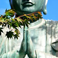 Buy canvas prints of Maple Leaves and Daibutsu by Justin Bowdidge