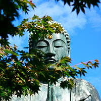Buy canvas prints of Buddha Through the Maple Leaves by Justin Bowdidge