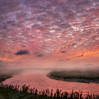 Buy canvas prints of Red Dawn over the River Darent by Adrian Campfield