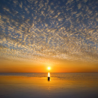 Buy canvas prints of Sunrise over the Beach by Adrian Campfield