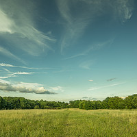 Buy canvas prints of Green park and blue sky, beautiful nature colours by Wael Attia