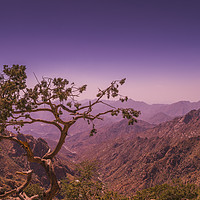 Buy canvas prints of solitary tree looking after a valley. by Wael Attia