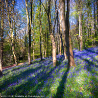 Buy canvas prints of Bluebells at Bluebell Woods - Crickhowell by Karl McCarthy