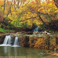 Buy canvas prints of Autumnal Stream by Karl McCarthy