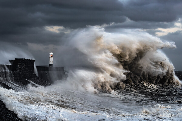 Monster Wave at Porthcawl Picture Board by Karl McCarthy