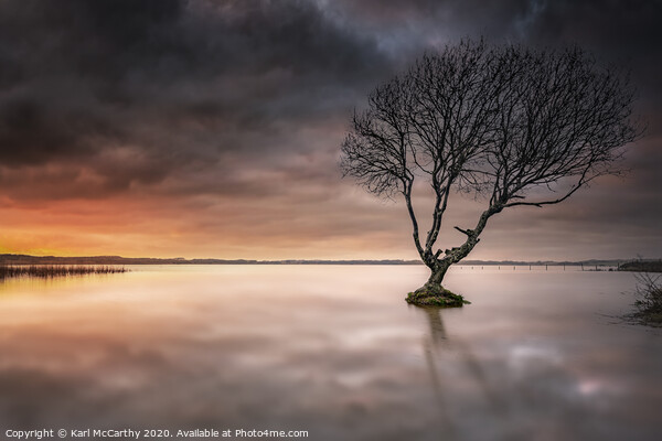 The lone tree of Kenfig Pool Picture Board by Karl McCarthy