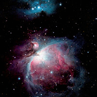 Buy canvas prints of The Orion Nebula (M42) by Karl McCarthy
