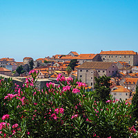 Buy canvas prints of Dubrovnik Old Town by Tom Lightowler