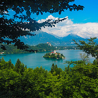 Buy canvas prints of Lake Bled Slovenia by Tom Lightowler