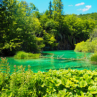 Buy canvas prints of Plitvice Lakes Croatia by Tom Lightowler