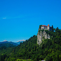 Buy canvas prints of Bled Castle Lake Bled Slovenia by Tom Lightowler