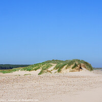 Buy canvas prints of Holkham Beach Norfolk   by Jim Key