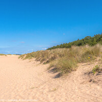 Buy canvas prints of The Sand Dunes on Wells Beach Norfolk    by Jim Key