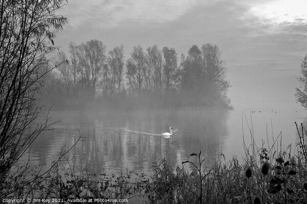 White Swan at Sunrise Black and White    Picture Board by Jim Key