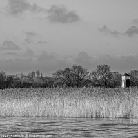 Buy canvas prints of Hickling Broad Norfolk Black and White  by Jim Key