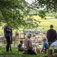 Buy canvas prints of Sheep Shearers Lunch by Jim Key