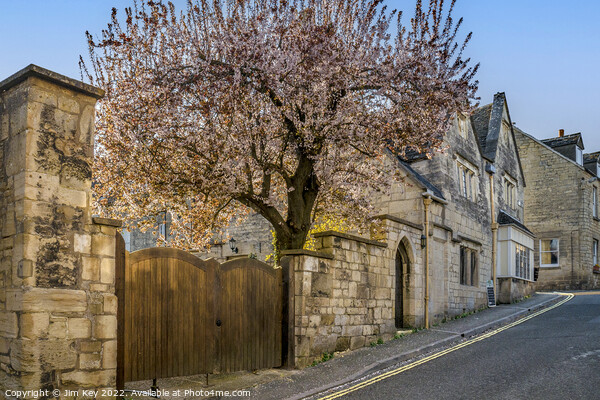Painswick in the Spring  Picture Board by Jim Key