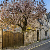 Buy canvas prints of Painswick in the Spring  by Jim Key
