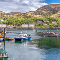 Buy canvas prints of Mallaig Harbour Scotland by Jim Key