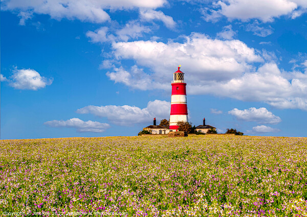 Happisburgh Lighthouse and Cottages Norfolk  Picture Board by Jim Key