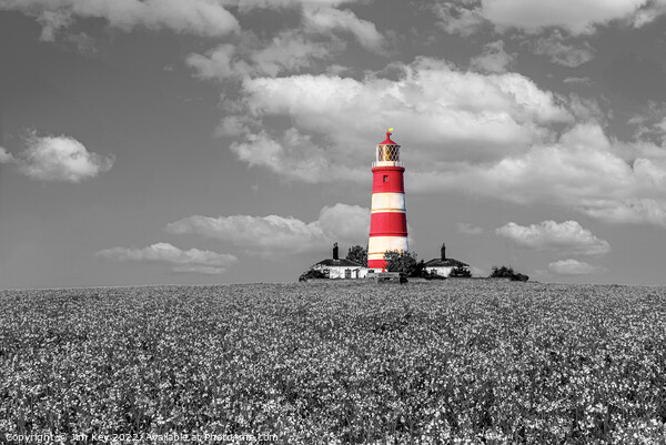 Happisburgh Lighthouse Selective Colour Norfolk  Picture Board by Jim Key