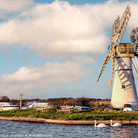 Buy canvas prints of Thurne Mill Norfolk Broads  by Jim Key