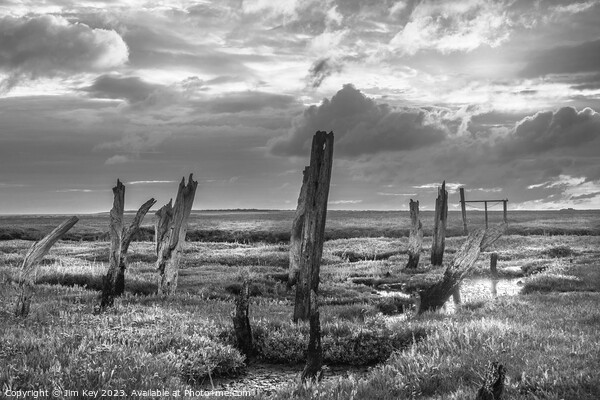 Thornham Stumps Black And white Norfolk Picture Board by Jim Key