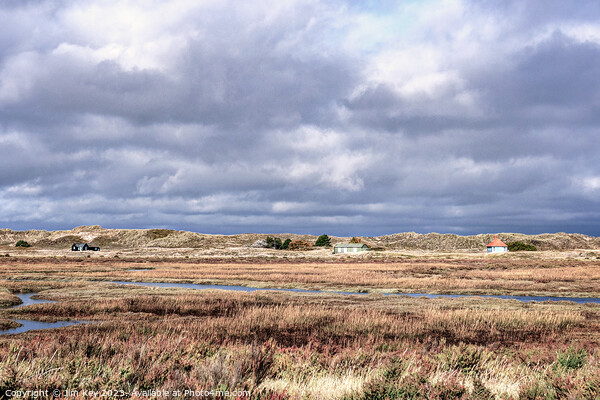 Blakeney National Nature Reserve Norfolk   Picture Board by Jim Key