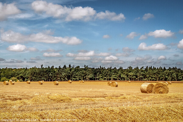 Hay Bales in Norfolk   Picture Board by Jim Key