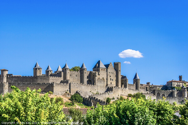 Cité de Carcassonne  Picture Board by Jim Key